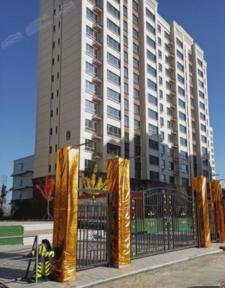 ꖹ��B�����������D