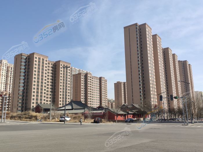 IMG_20210323_102841.jpg IMG_20210323_102841.jpg