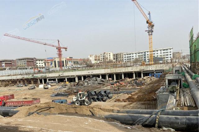 ��̩���W��2021.3.25�����M�Ȍ����D