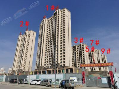 2021.3.23�����M��