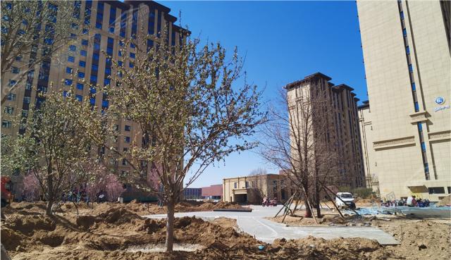 2011.4С�^�G���M�Ȍ����D