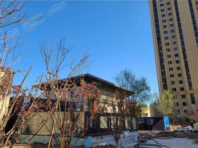 2021.4�Ŀ���T�Ȃȵ�·�M�ȈD