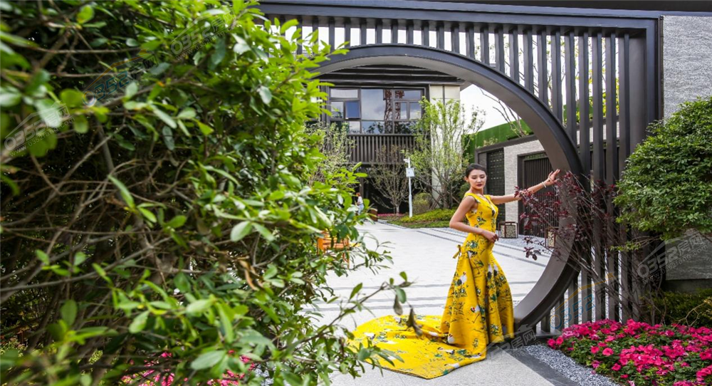 鍥劇墖5.png 鍥劇墖5.png