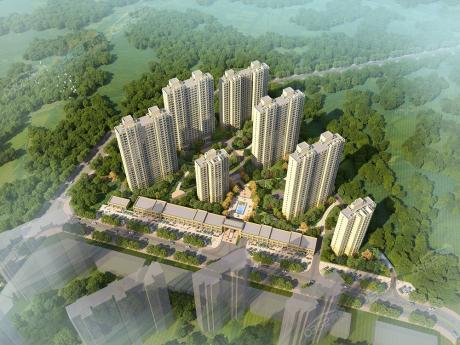 ���ݵ۾����W(xu��)�����BD