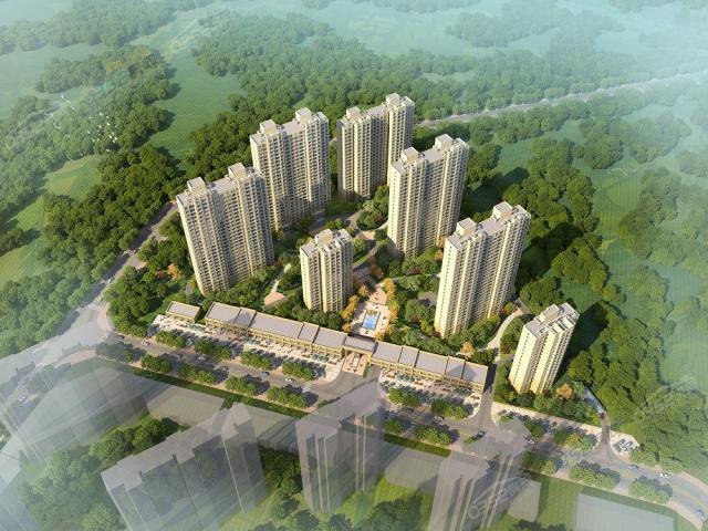 ���ݵ۾����W�����BD