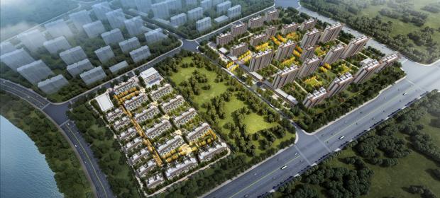 �����͹�m��