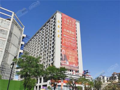 2021.5.25�ςȌ����D