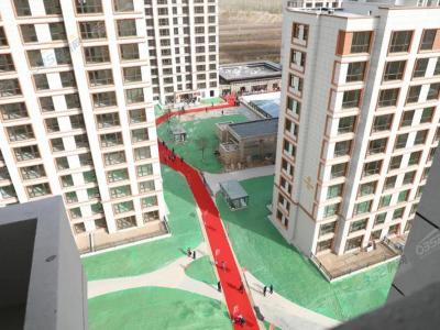 ���������D