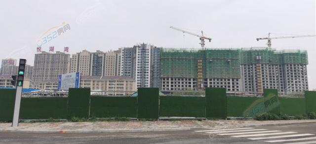 ���t5�¹����M��