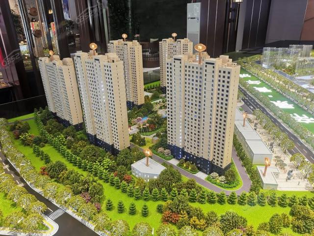 ���ݵ۾����W����ɳ�P