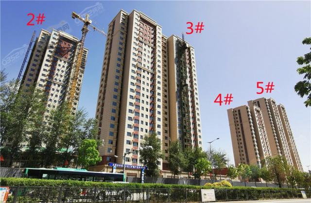 2021.5.25���Ȍ����D