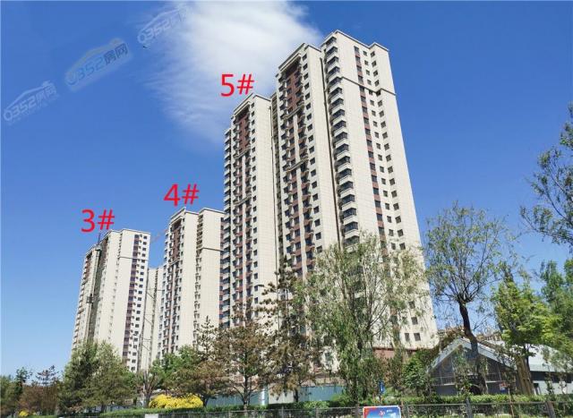 2021.5.25�|�Ȍ����D