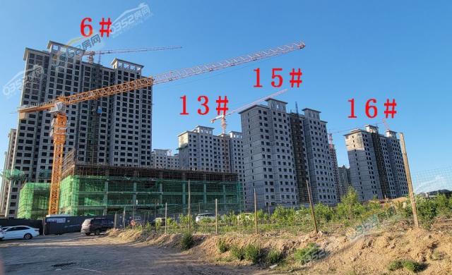 �Ǻ������\�@2021.6.15�����D