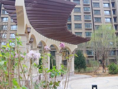 �Ŀ��������