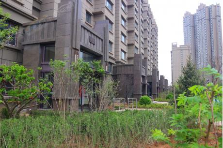 �Ŀ��������