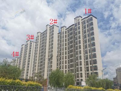 2021.7.13�����󌍾��D