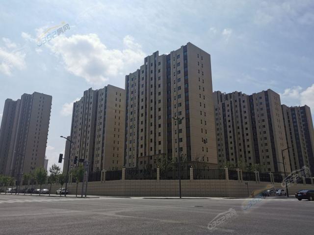 2021.7.20�����D