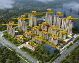 ���������Z��