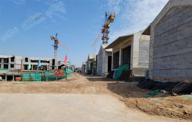 ���W��2021.7.30�����M��