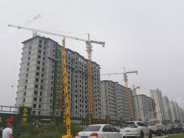 2021.8.11�����D