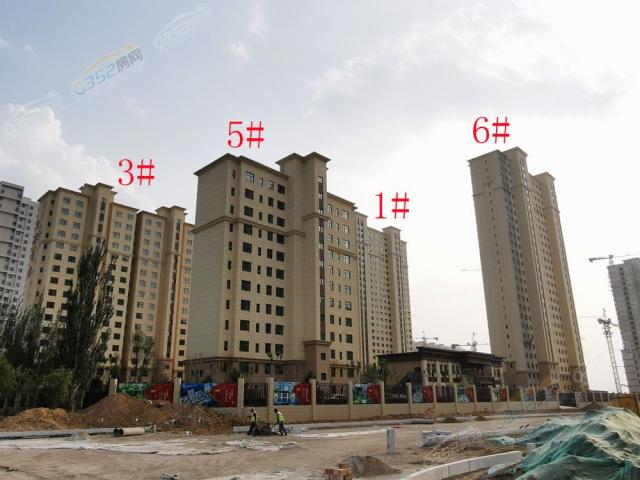 2021.8.17�����D