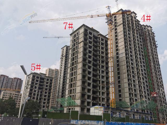 2021.8.17�����D