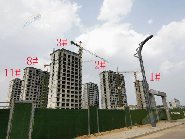 2021.8.17�����D