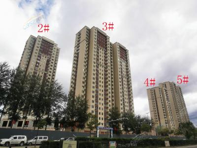 2021.8.25�����D