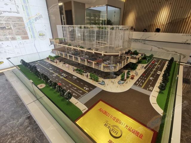 ɳ�P�����D