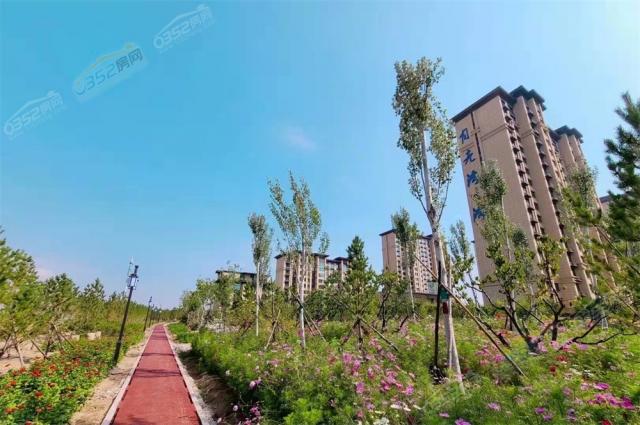 �����������F�������D