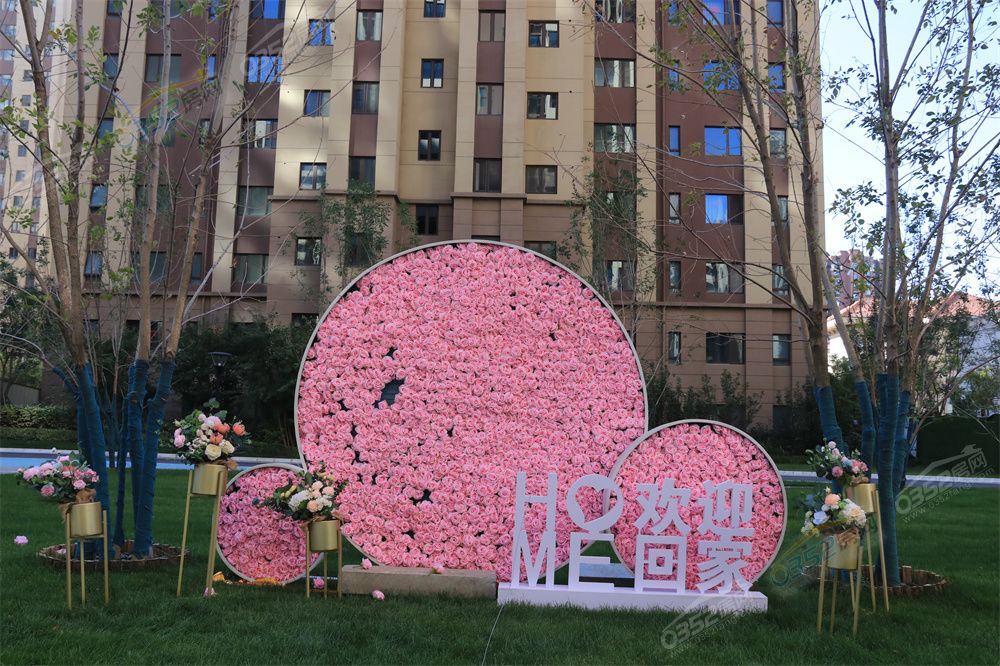 IMG_1871.jpg IMG_1871.jpg