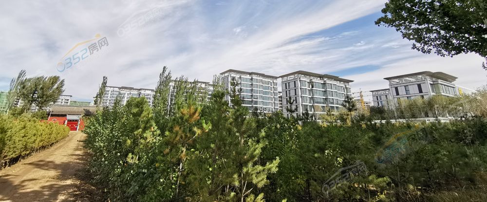 文瀛御龍庭.jpg 文瀛御龍庭.jpg