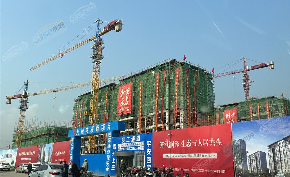 涔濈Η鑺辮?閮?jpg 涔濈Η鑺辮?閮?jpg