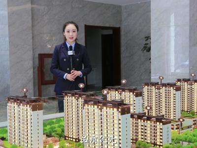 �x����ɳ�P�v��