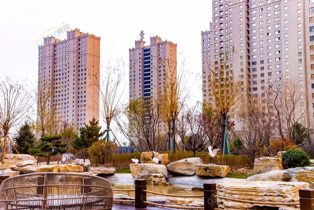 de28e6da4e36293b3174ef112ab4d77.jpg de28e6da4e36293b3174ef112ab4d77.jpg