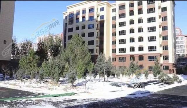 2021.11.8���ڽ��������D