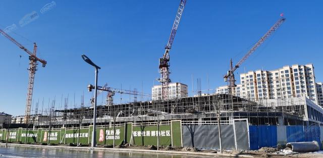 2021.11.13�����M��