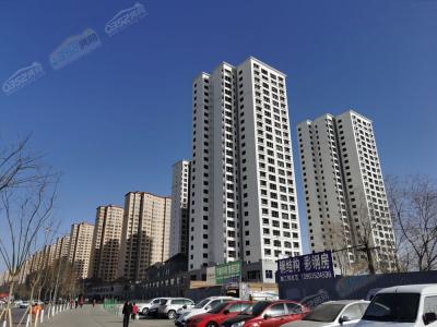 2021.11.25�����M��