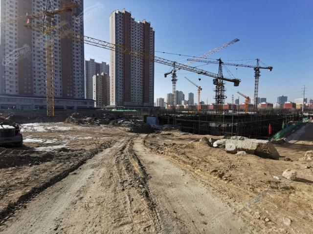 2021.11.25�����M��