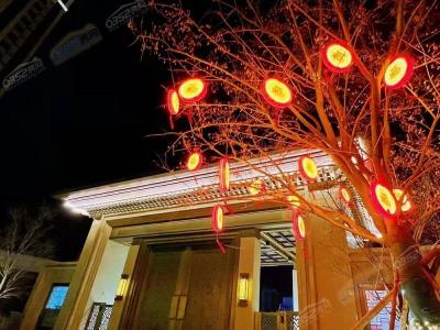 ����������ҹ���D