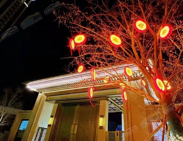 ����������ҹ���D