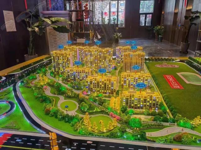 ɳ�P�����D