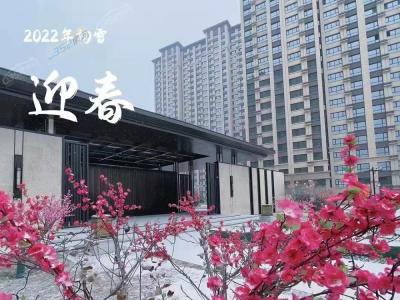 ���������������D