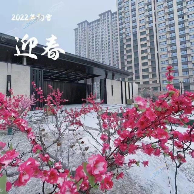 ���������������D