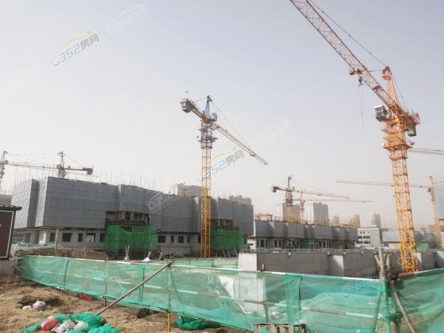 2022.3.15�����D