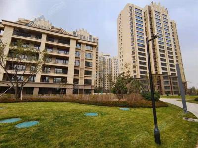 �������t20223.20�����D