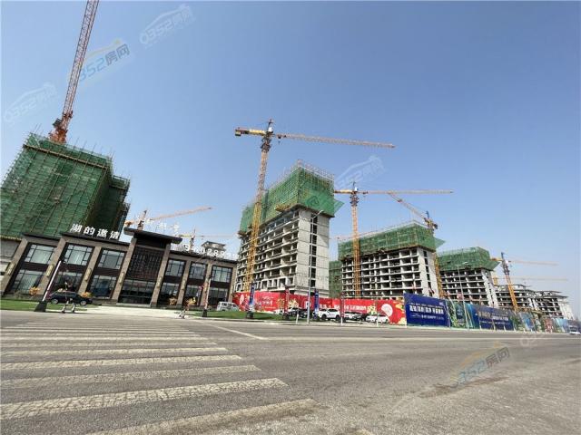 ���������2022.3.16�����D