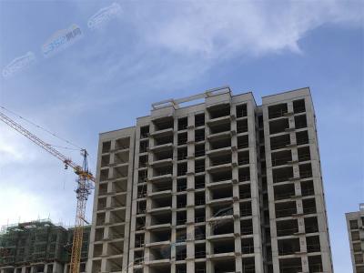 2022.4�����D