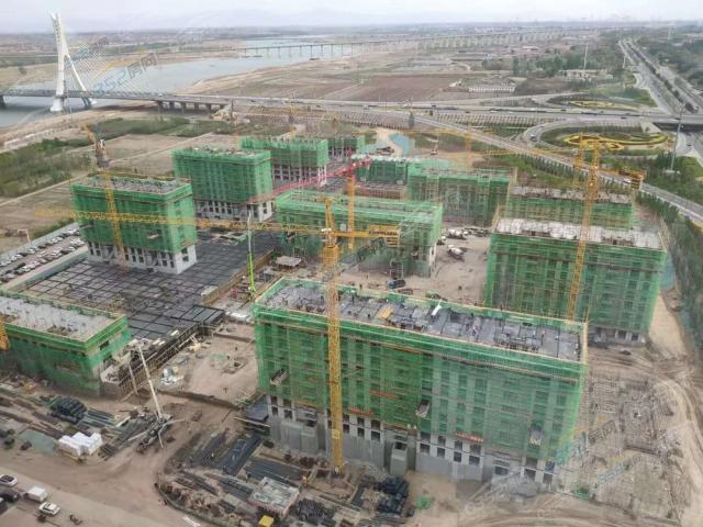 2022.5.10�����D