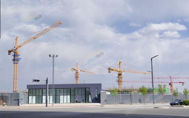 2022.5.17�����D